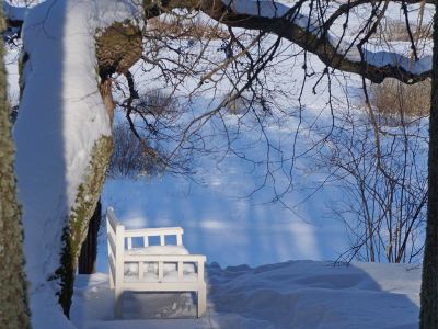 Зимние каникулы в Пскове 3 дня