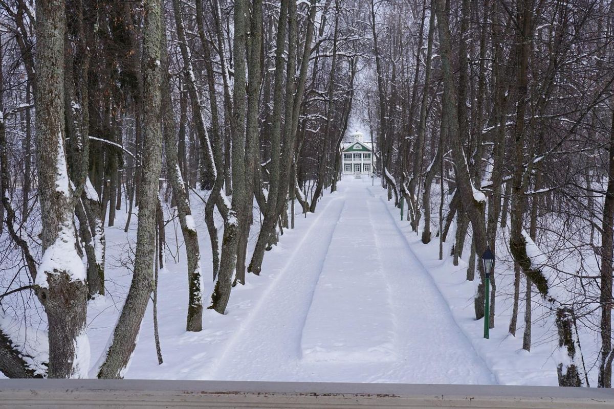 Зимние каникулы-перезагрузка в Пскове 7 дней